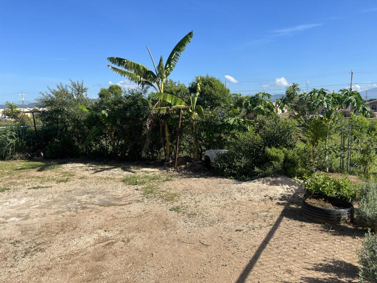 Apartamento Finest Phoenix Park Lot 1317 Phase 4 St Catherine *